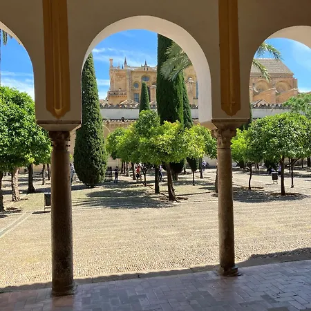 Precioso Junto A La Mezquita * Córdoba