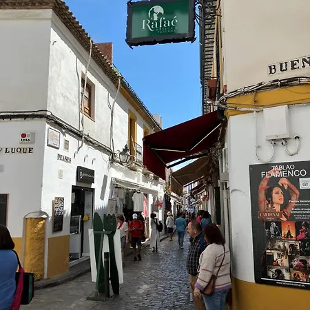 Precioso Junto A La Mezquita Córdoba