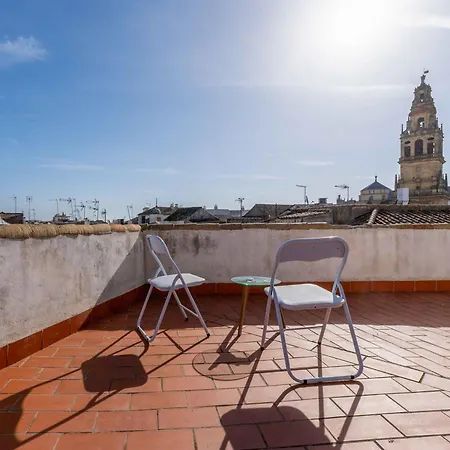 Precioso Junto A La Mezquita. *