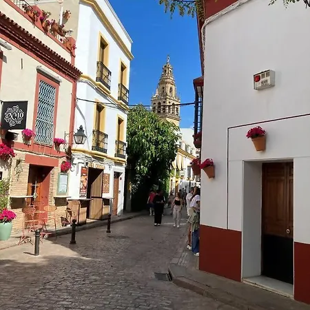 Precioso Junto A La Mezquita. شقة *