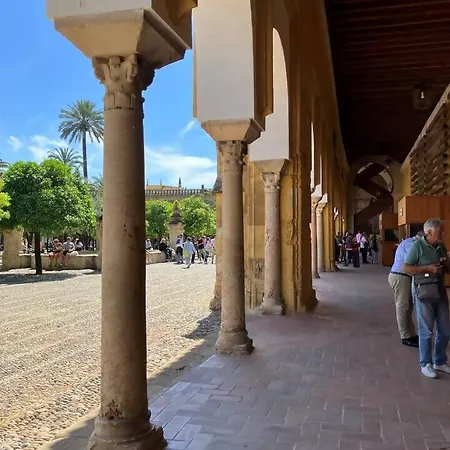 Precioso Junto A La Mezquita. شقة