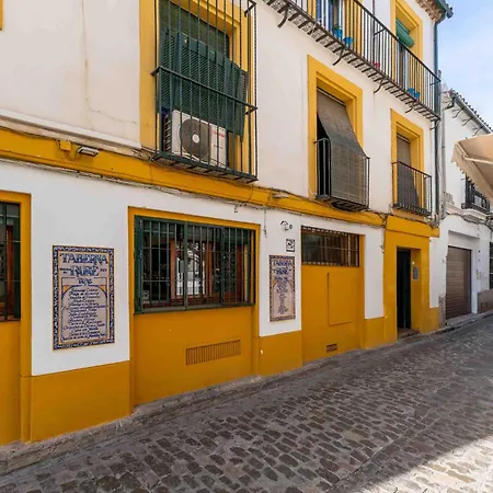 Precioso Junto A La Mezquita. Cordoba